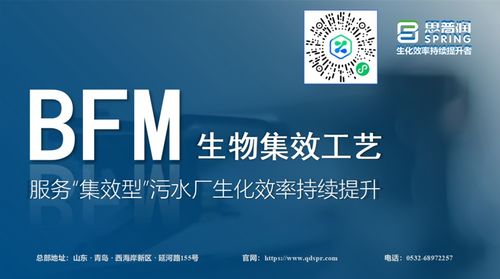 思普潤(rùn)BFM生物集效工藝 賦能集效型污水廠，驅(qū)動(dòng)生化效率的持續(xù)躍升