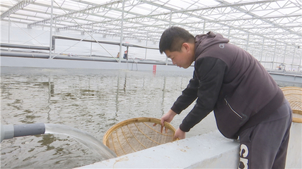 【落實市委全會精神 加快高質量發(fā)展】以產業(yè)興旺為抓手 以項目建設為引領 推動農業(yè)產業(yè)提質增效