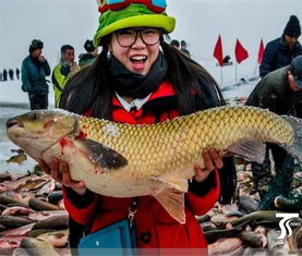 水產養殖系統,自動化養殖,解決水產養殖的各種問題