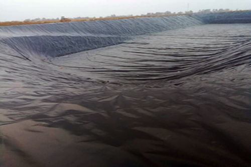 防滲復(fù)合土工膜制造商,土工膜市場價