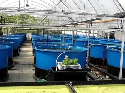 農業農村部:&ldquo;五大行動&rdquo;推進水產養殖業綠色發展