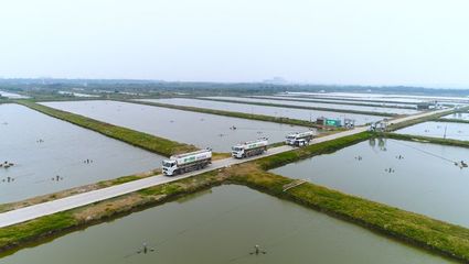 養(yǎng)魚就是養(yǎng)水,廠家如何研發(fā)有效調(diào)水產(chǎn)品?|陳昌福專欄