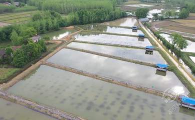 赤壁:打造高質(zhì)量發(fā)展研究院 服務(wù)縣域經(jīng)濟(jì)發(fā)展