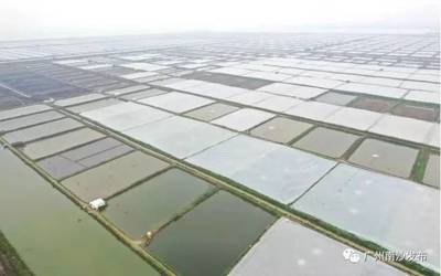 南沙又有新去處?休閑漁業(yè)民俗文化體驗(yàn)基地要來了