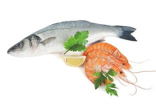 青企打造水產(chǎn)養(yǎng)殖云服務(wù)平臺