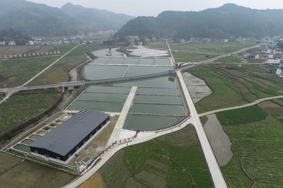 創(chuàng)展現(xiàn)代漁業(yè)產(chǎn)業(yè)園,推動(dòng)漁業(yè)發(fā)展轉(zhuǎn)型升級,助力鄉(xiāng)村全面振興