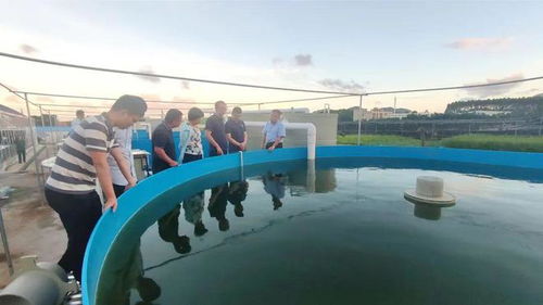 技術大拿間的 夢幻聯動 海之味與集美大學水產學院達成戰略合作,開啟牛蛙技術研發新篇章