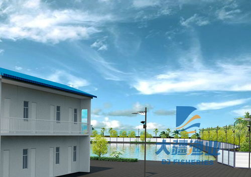 大疆漁業引領水產養殖新風潮 兩大熱門技術與農家樂休閑觀光融合