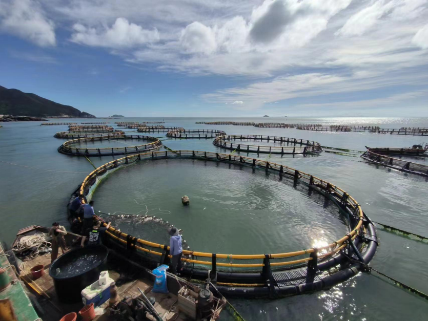 全省示范！溫州3家農家樂休閑觀光服務獲殊榮